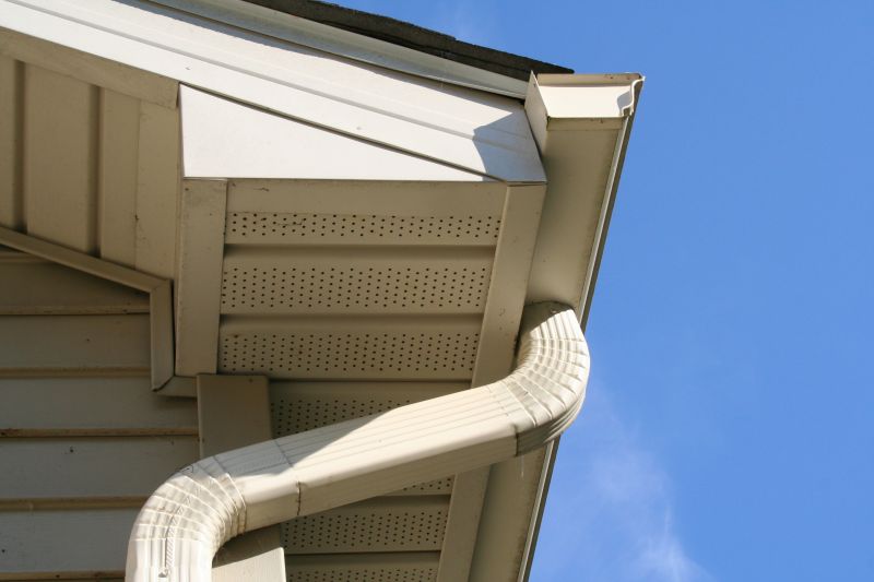 Downspout Blockage Removal in Fredericksburg, VA