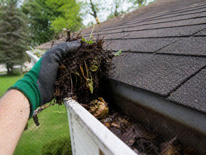 Gutter Maintenance in Monmouth County, NJ