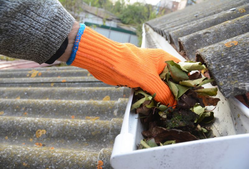 Gutter Pine Needle Removal in Frederick, MD